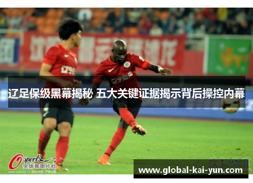 辽足保级黑幕揭秘 五大关键证据揭示背后操控内幕 辽足保级黑幕揭秘 五大关键证据揭示背后操控内幕