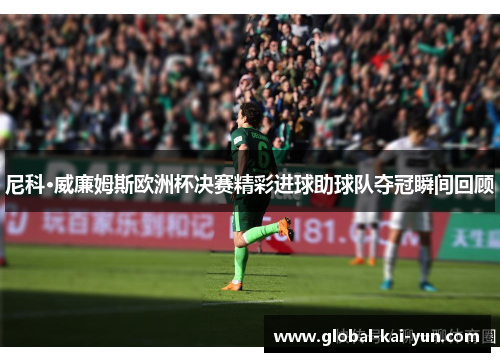 尼科·威廉姆斯欧洲杯决赛精彩进球助球队夺冠瞬间回顾