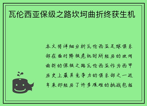 瓦伦西亚保级之路坎坷曲折终获生机 瓦伦西亚保级之路坎坷曲折终获生机